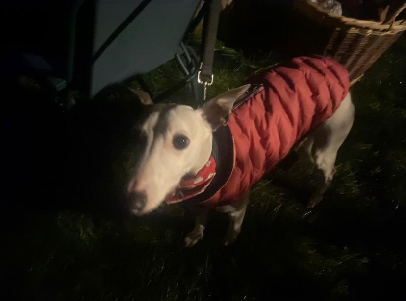 St_Nicholas_Marston_Celtic_211225