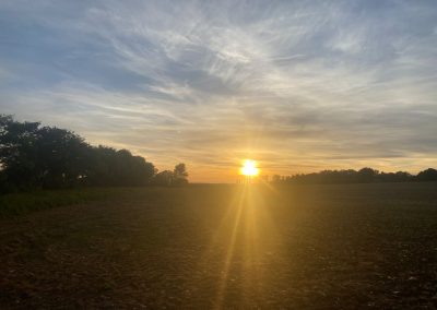 St_Nicholas_Marston_Pulse_230526
